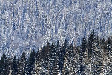 Similar image 12036345