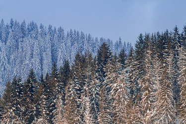 Similar image 12036346