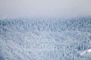 Similar image 12036349