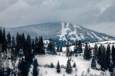 Similar image 12036350