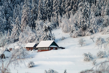 Similar image 12036351