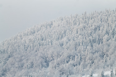 Similar image 12036352