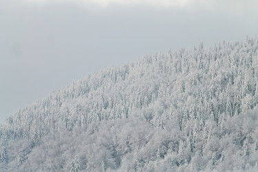 Similar image 12036353