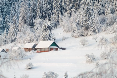 Similar image 12036354