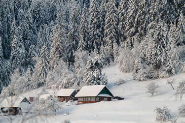 Similar image 12036355