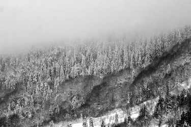 Similar image 12036358