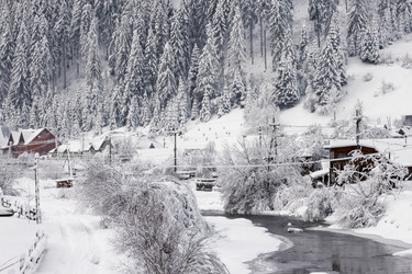 Similar image 12036360