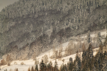 Similar image 12036362