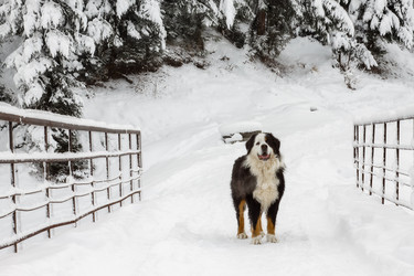 Similar image 12036363