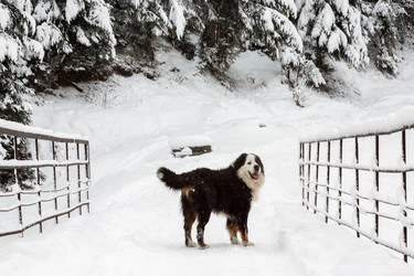 Similar image 12036364