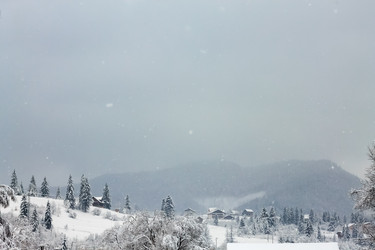 Similar image 12036365