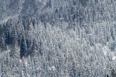 Similar image 12036366