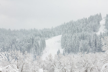 Similar image 12036367