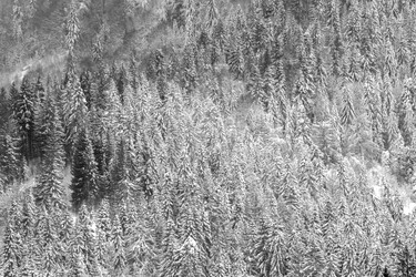 Similar image 12036368