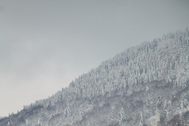 Similar image 12036369