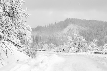 Similar image 12036370