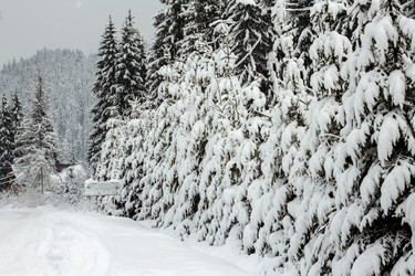 Similar image 12036372