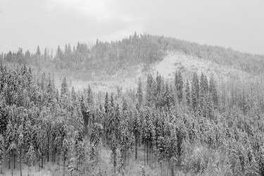 Similar image 12036373