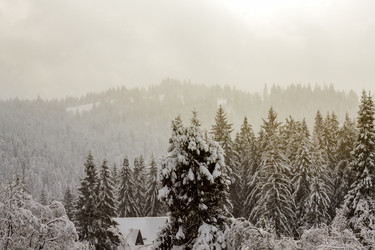 Similar image 12036374