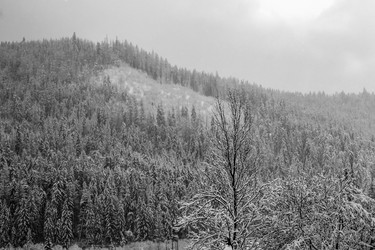 Similar image 12036375