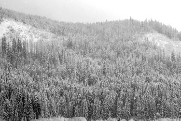 Similar image 12036376