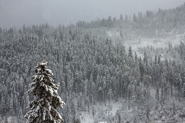 Similar image 12036377