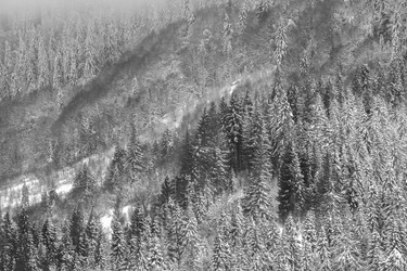 Similar image 12036378