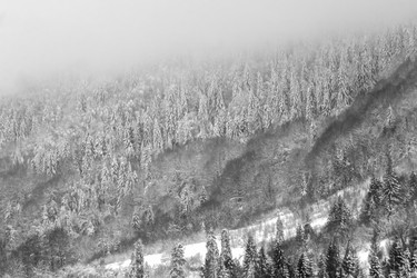 Similar image 12036389