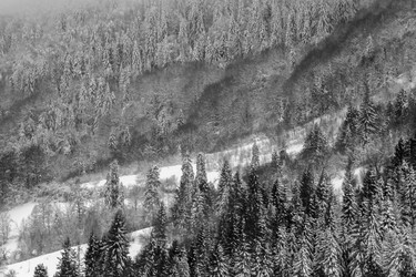 Similar image 12036390