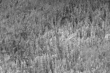 Similar image 12036393