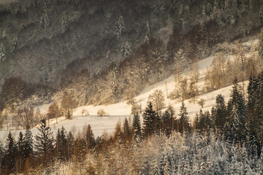 Similar image 12036394