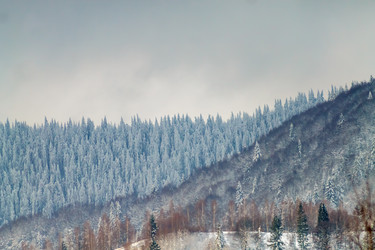 Similar image 12036395