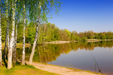 Similar image 11969528