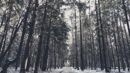 Similar image 12037238