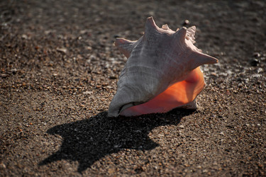 Similar image 11967414