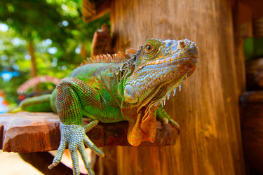 Similar image 11969441