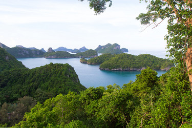 Similar image 11969442