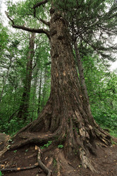 Similar image 11969443