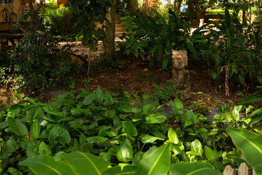 Similar image 11969450