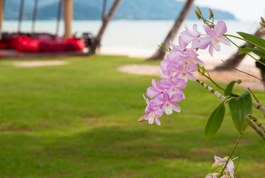 Similar image 11969451