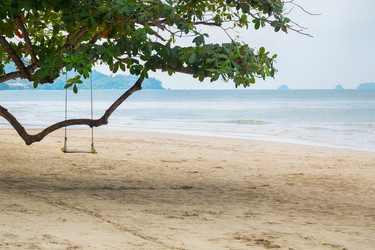 Similar image 11969459