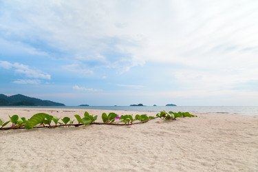 Similar image 11969460