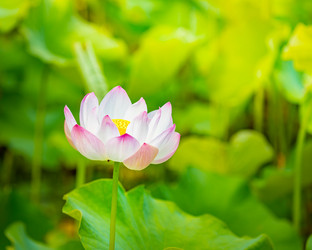 Similar image 12037451