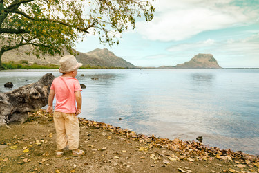 Similar image 12037460