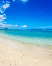 Similar image 12037489