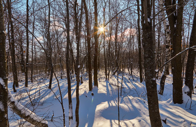 Similar image 11969290