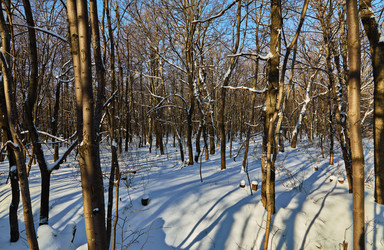 Similar image 11969291