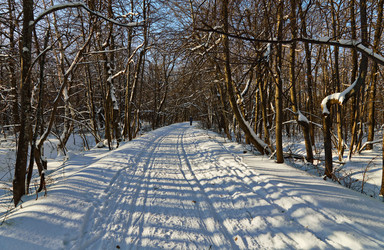 Similar image 11969292