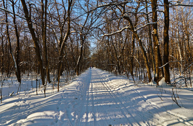 Similar image 11969293