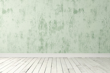 Similar image 11967669